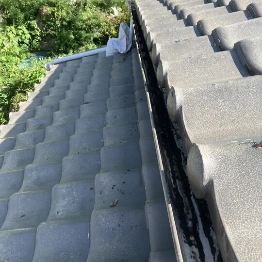 画像8255：雨樋掃除