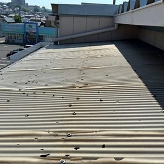 画像8282：波板張替え工事