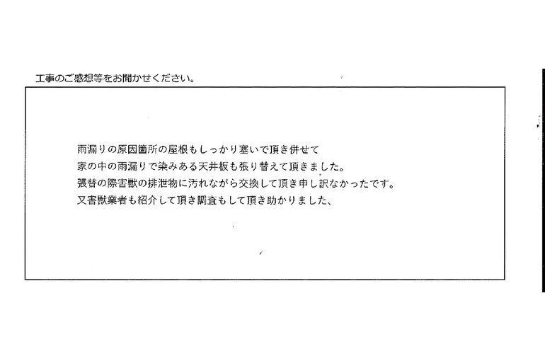 voice